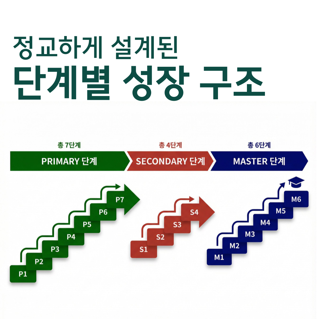 Primary Secondary Master 단계 구조도 이미지